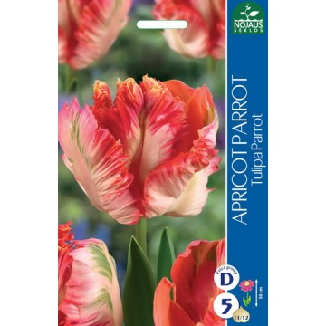 TULPES APRICOT PARROT