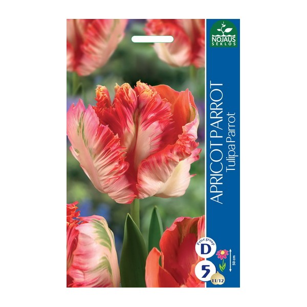 TULPES APRICOT PARROT