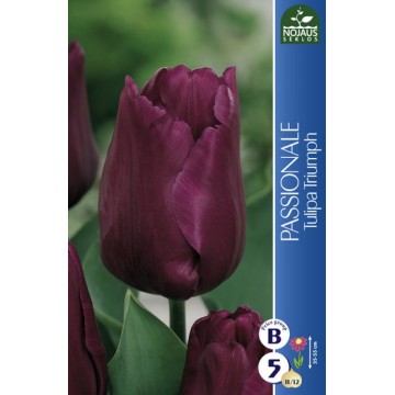 TULPES PASSIONALE