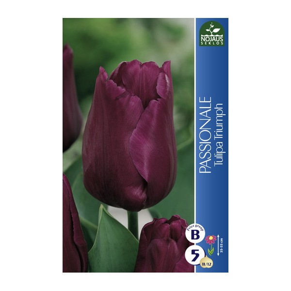 TULPES PASSIONALE