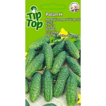 TIP TOP GURĶI, ĪSLAPU GURĶI...