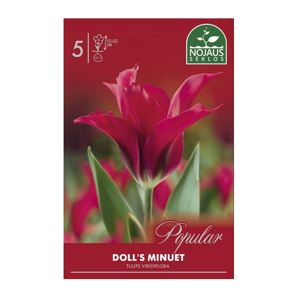 POPULAR TULPES DOLL'S MINUET