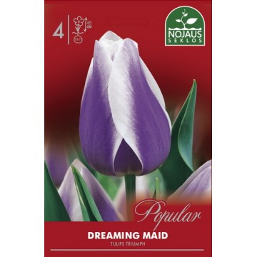 POPULAR TULPES DREAMING MAID
