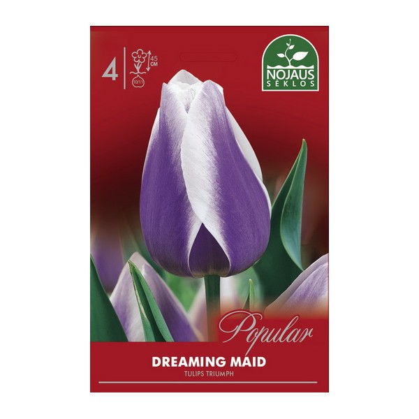 POPULAR TULPES DREAMING MAID