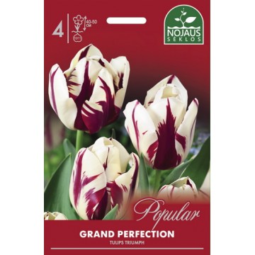 Тюльпаны GRAND PERFECTION