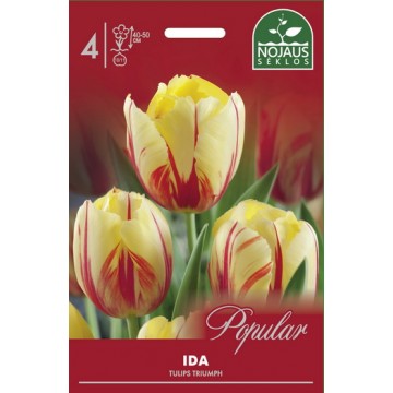 POPULAR TULPES IDA