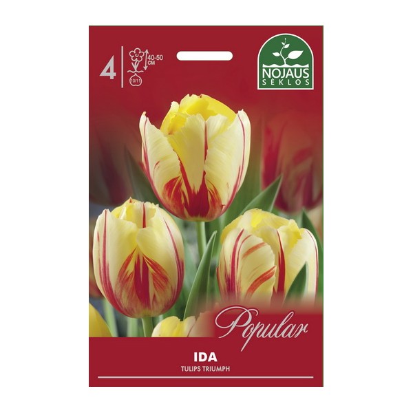 POPULAR TULPES IDA