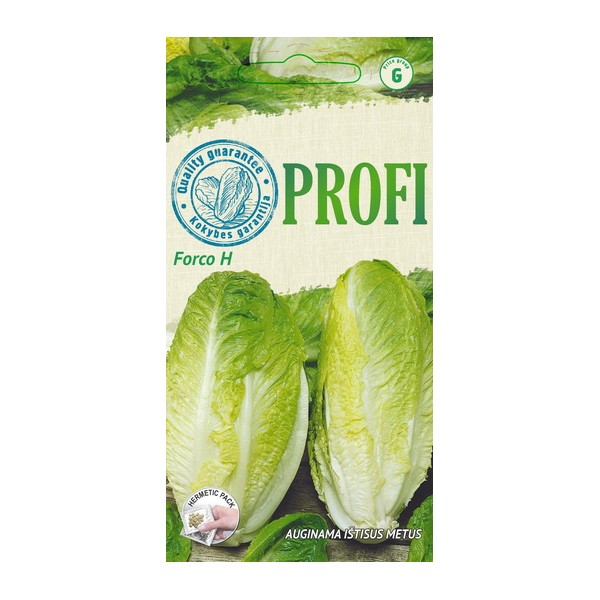 Ķīnas kāposti Forco H