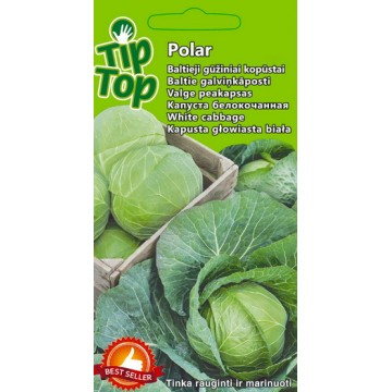 Капуста белокочанная Polar