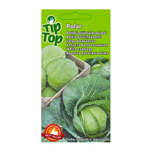 Baltie galviņkāposti Polar