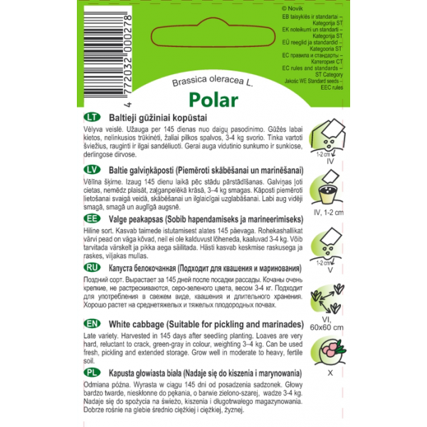 Baltie galviņkāposti Polar