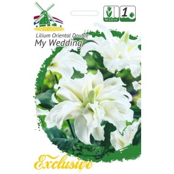 Lilija My Wedding