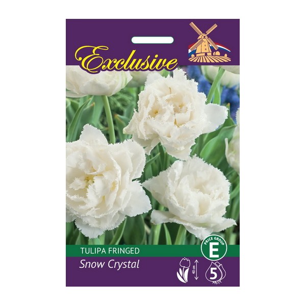 TULPES EXCLUSIVE SNOW CRYSTAL