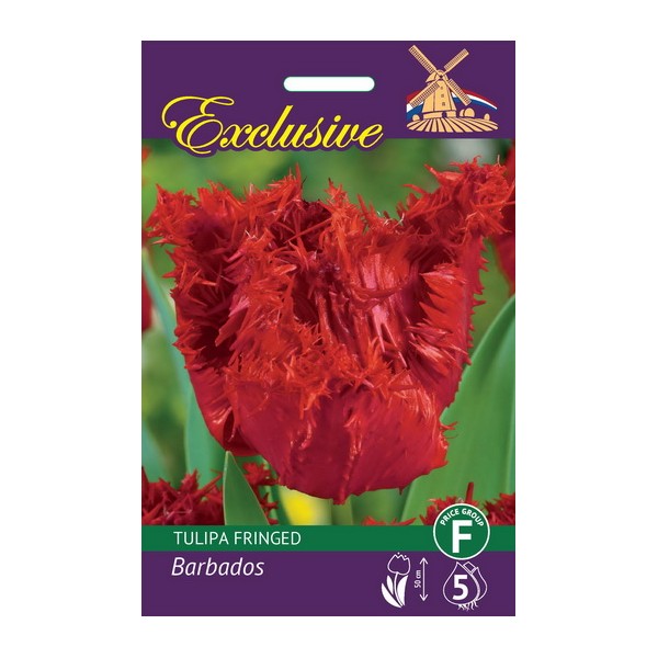 TULPES EXCLUSIVE BARBADOS