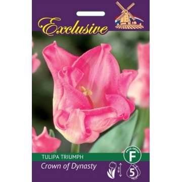 TULPES EXCLUSIVE CROWN OF...