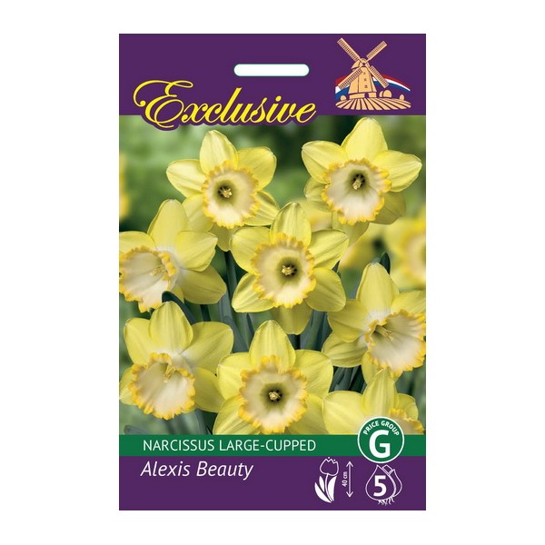 Narcises Exclusive Alexis Beauty