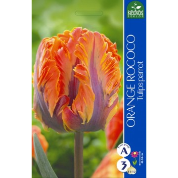 Tulpes ORANGE ROCOCO, 3 sīpoli