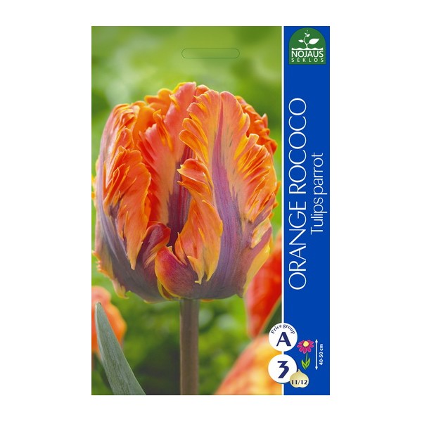 Tulpes ORANGE ROCOCO, 3 sīpoli