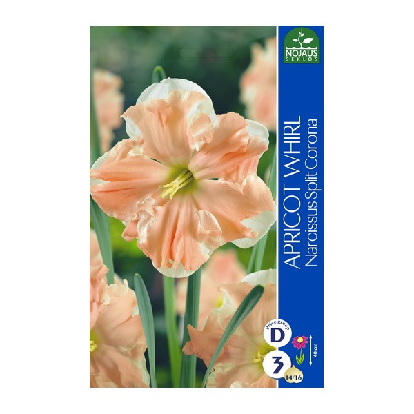 NARCIZES APRICOT WHIRL