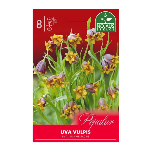 Šaurlilijas Uva Vulpis