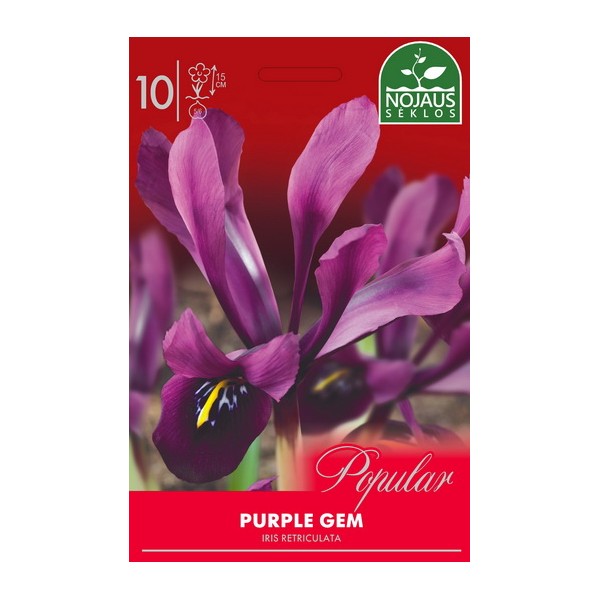 Īrisi PURPLE GEM popular 8 gab