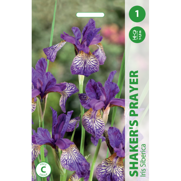 Īrisi SHAKER'S PRAYER