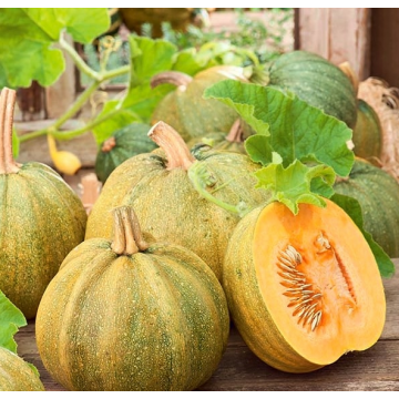 Lielie ķirbji Danka Polka,...