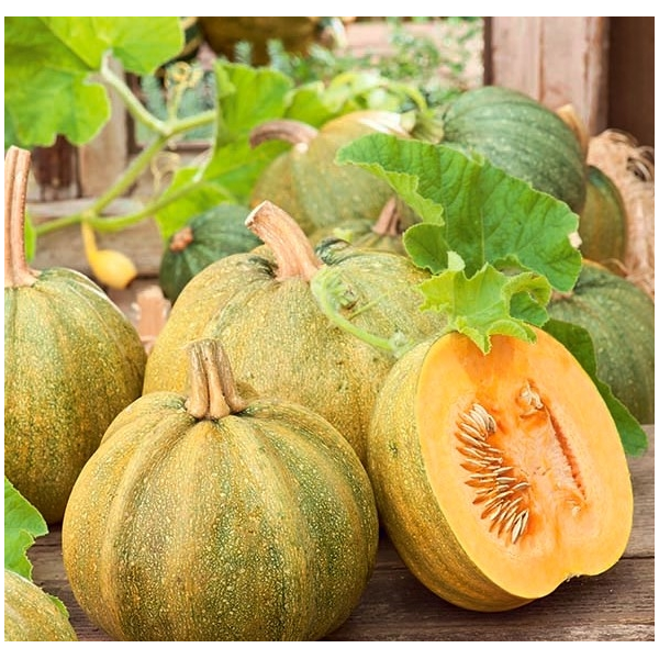 Lielie ķirbji Danka Polka, 100 g