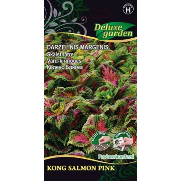 Skaistnātre Kong Salmon Pink