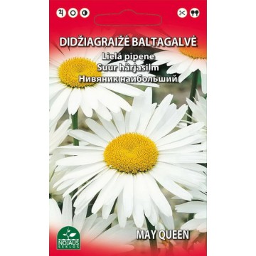 Baltgalvainā lielziedu...