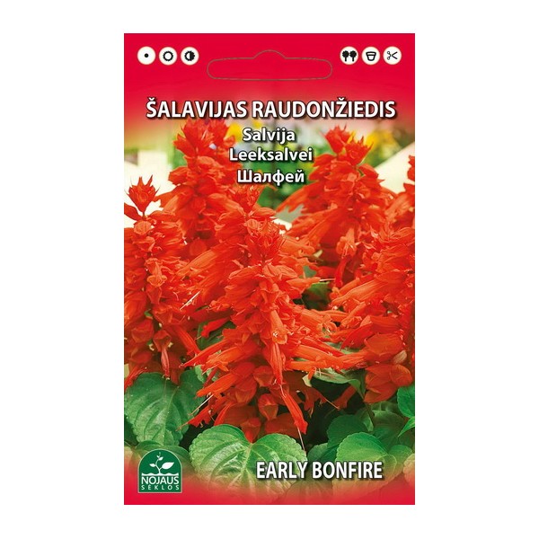 Sarkanžiedu salvija