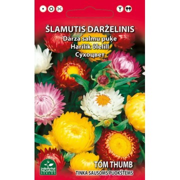 DĀRZA ŠLAMUTIS (MAISĪJUMS)