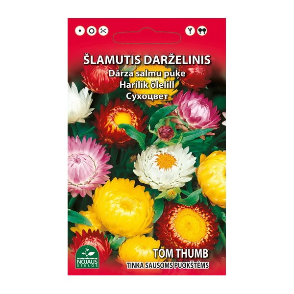 DĀRZA ŠLAMUTIS (MAISĪJUMS)