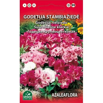 LIELZIEDU GODECIJA (MAISĪJUMS)