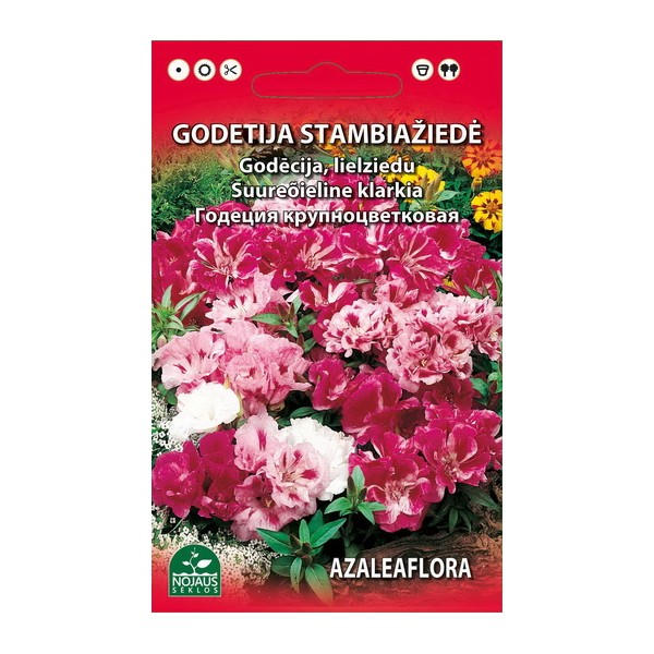 LIELZIEDU GODECIJA (MAISĪJUMS)