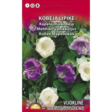 LIPĪGĀ KOBEJA (KĀPELĒJOŠA)