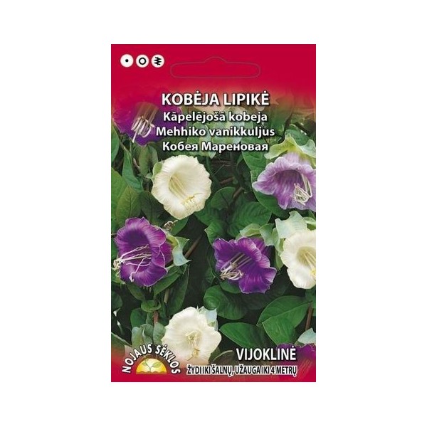 LIPĪGĀ KOBEJA (KĀPELĒJOŠA)