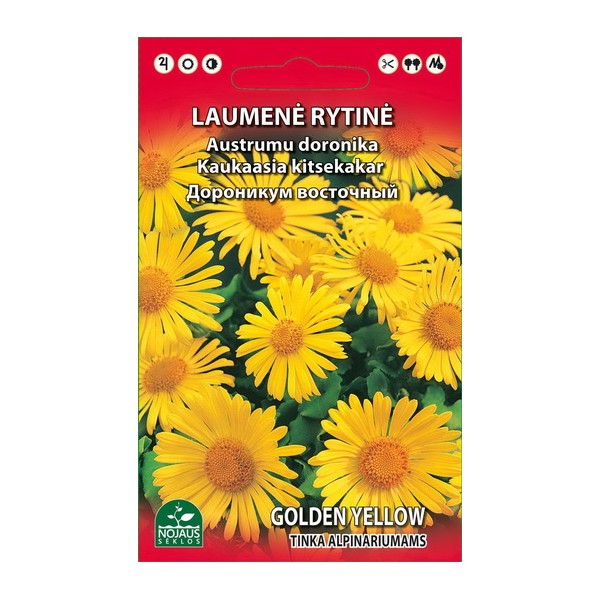 LAUMENĖ RYTINĖ