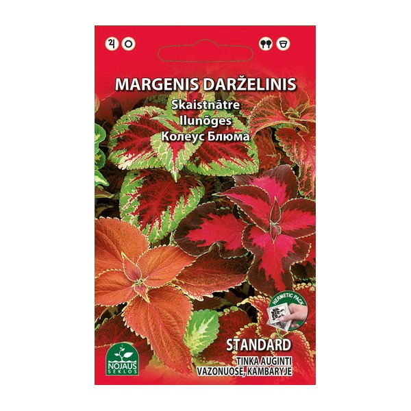 Daudzgadīgais koleuss