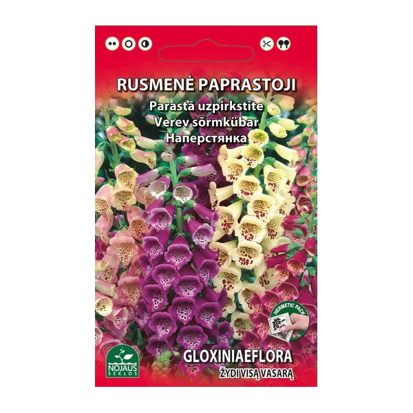 PARASTĀ LAPSASTE (MAISĪJUMS)