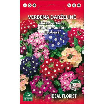 DĀRZA VERBĒNA (MAISĪJUMS)