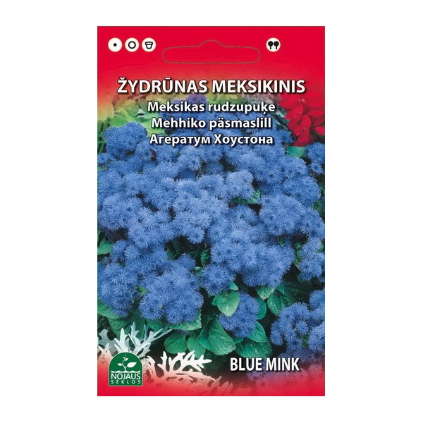 MEKSIKĀŅU ZILPUIĶE