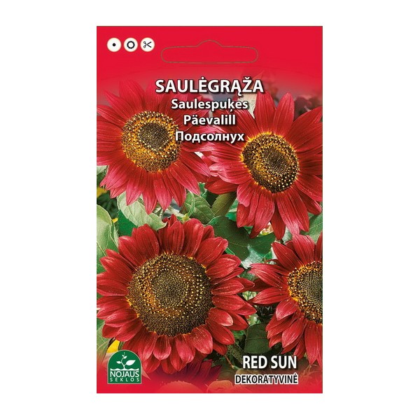 DEKORATĪVĀS SAULESPUĶES „RED SUN”