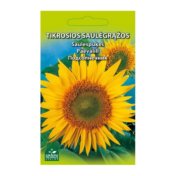 TIKROSIOS SAULĖGRĄŽOS