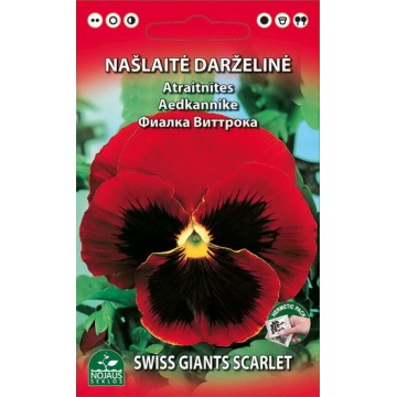 Īstā atraitnīte (sarkana)