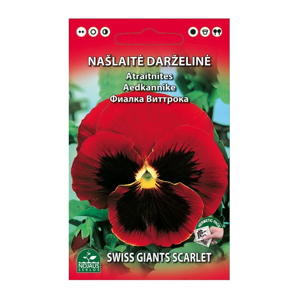 Īstā atraitnīte (sarkana)