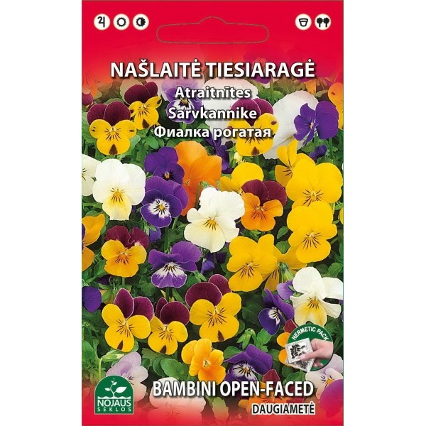 Taisnragainā atraitnīte