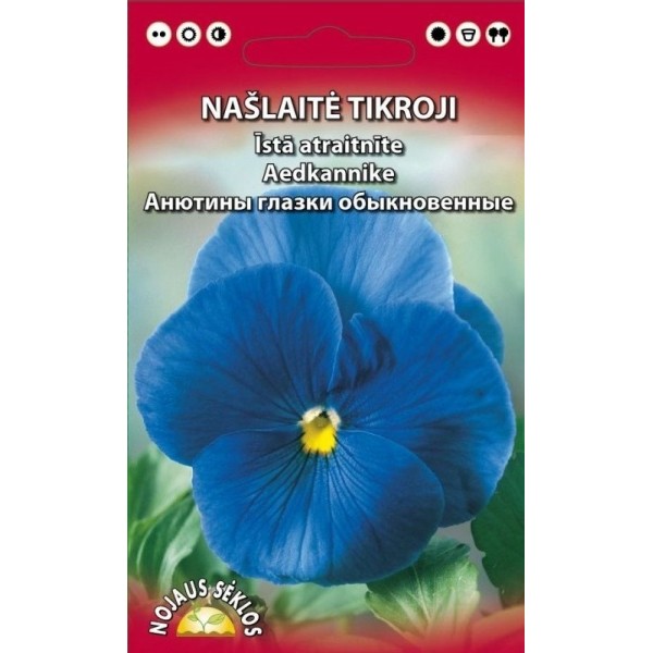 Īstā atraitnīte (zila)