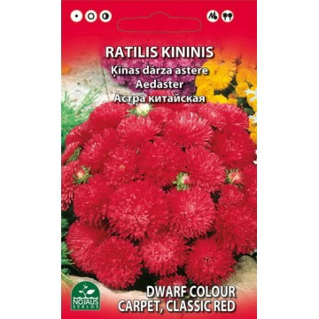 ĶĪNAS ASTERIS ZEMĀ AUGUMA...