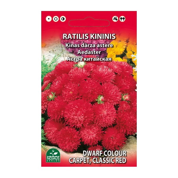 ĶĪNAS ASTERIS ZEMĀ AUGUMA (SARKANS)